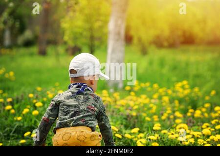 Bambino nel prato dei fiori gialli Foto Stock