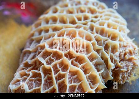 Primo piano della trippa di manzo crudo sul tagliere Foto Stock