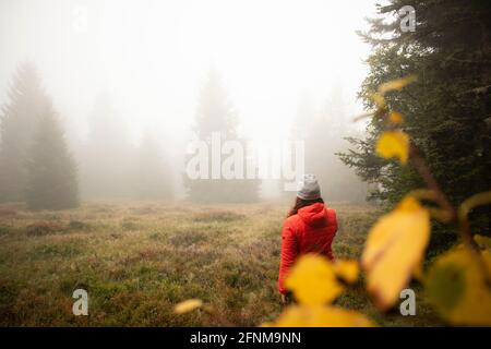 Escursionismo donna rosso giacca natura paesaggio in autunno con giallo foglie Foto Stock
