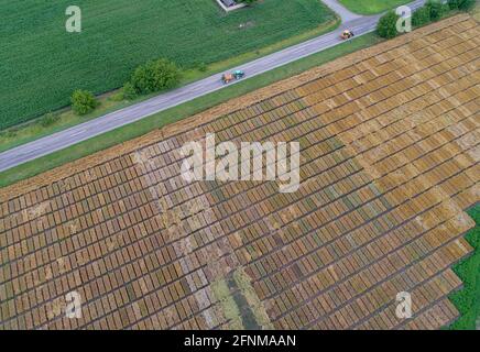 Immagine aerea di terreni di prova agricoli con diversi tipi di colture di cereali, ibridi, sparare da drone Foto Stock