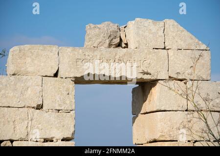 Geco moresco, Tarentola mauritanica, crogiolandosi su un arco abbandonato di pietra calcarea a Malta. Foto Stock