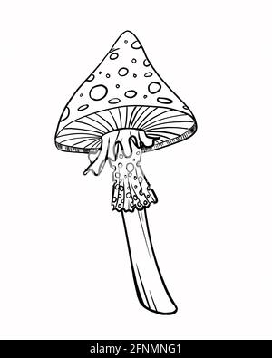 Disegno a fungo art. Illustrazione delle linee digitali Foto Stock