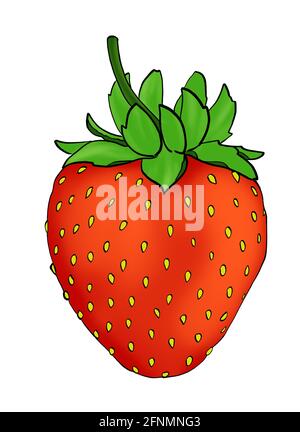 Immagine digitale rossa semplice fragola su sfondo bianco Foto Stock