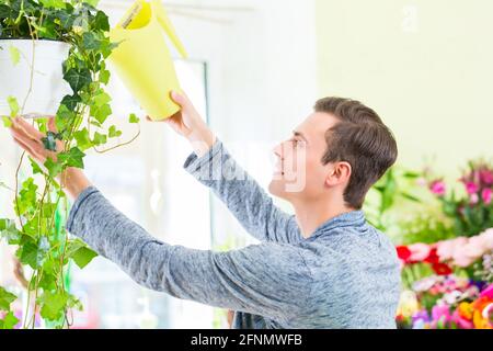 Fioraio lavorando in negozio di fiori piante di irrigazione Foto Stock