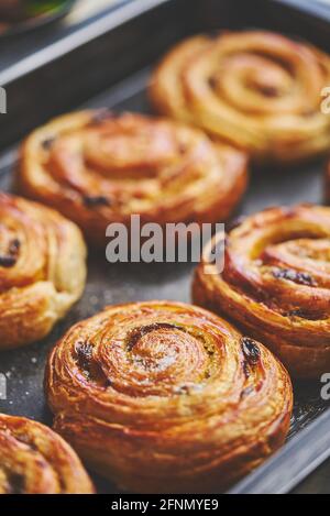 Dolci alla cannella fatti in casa con uvetta messi al forno vassoio del ferro Foto Stock