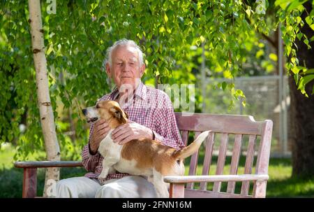 Uomo anziano seduto in giardino con cane carino in giro e coccolarsi Foto Stock