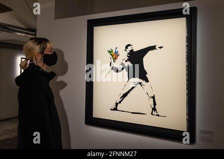 Londra, Regno Unito. 18 maggio 2021. A visitor views 'Love is in the Air (Flower Thrower)', 2006, di Banksy. Anteprima di "l'arte di Banksy" a Seven Dials, Covent Garden. Oltre 100 opere di Banksy sono esposte da collezioni private di tutto il mondo ed è la prima volta che la più grande mostra itinerante al mondo di autentiche opere d'arte di Banksy arriva nel Regno Unito, differita dal 2020 a causa della pandemia del coronavirus, ma ora si apre con l'alleggerimento delle restrizioni di blocco. Lo spettacolo si svolge dal 20 maggio al 21 novembre 2021. Credit: Stephen Chung / Alamy Live News Foto Stock