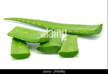 Aloe vera affettato isolato su sfondo bianco Foto Stock