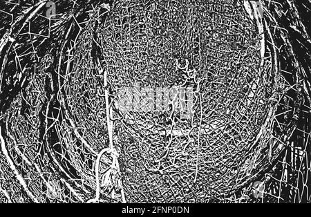 Trama stressata di corda intrecciata, rete da pesca, rete tessile. Sfondo grunge. Illustrazione vettoriale astratta di mezzitoni Illustrazione Vettoriale