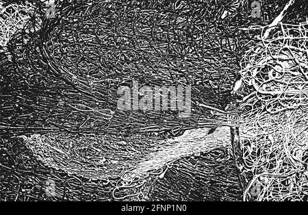 Trama stressata di corda intrecciata, rete da pesca, rete tessile. Sfondo grunge. Illustrazione vettoriale astratta di mezzitoni Illustrazione Vettoriale
