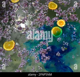 Fiori lilla e fette arancioni galleggianti su acqua blu Foto Stock