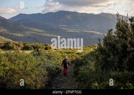 Trekker scendendo dalla montagna Arcuentu, Sardegna, Italia Foto Stock