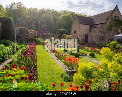 Chenies Manor Sunken giardino nel tardo pomeriggio luce, di fronte a ovest. Il vecchio Padiglione restaurato uno sfondo di tulipani colorati di arancio, rosso e viola. Foto Stock