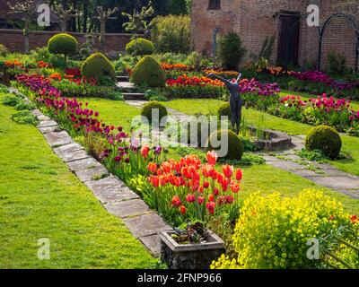 Chenies Manor Sunken giardino nel tardo pomeriggio luce, di fronte a ovest. Il vecchio Padiglione restaurato uno sfondo di tulipani colorati di arancio, rosso e viola. Foto Stock