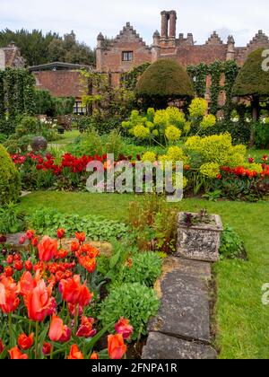 Colorato giardino primaverile a Chenies; Festival dei tulipani 2021 Foto Stock