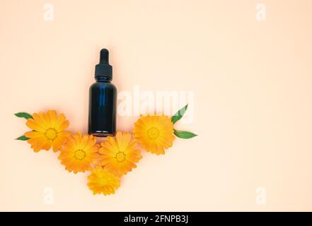 Fiori gialli con una bottiglia di essenze naturali. Oli naturali. Spazio di copia. Foto Stock