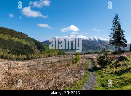 Pubblico diritto di strada sul Passo Whinlatter con Skiddaw innevato sullo sfondo. Foto Stock