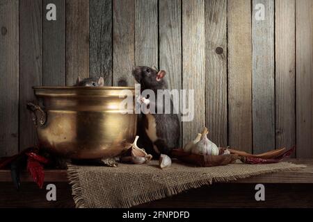 Ratti su un tavolo con vecchi utensili da cucina in una capanna di legno. Spazio di copia. Foto Stock