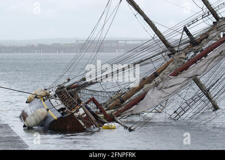 Zebù, Tall Ship corrono intorno al porto di Holyhead Foto Stock