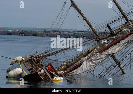 Zebù, Tall Ship corrono intorno al porto di Holyhead Foto Stock