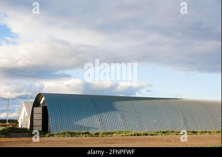 Deposito di grano silos. Granaio con attrezzatura meccanica per la ricezione, la pulizia, l'essiccazione, la spedizione di grano. Foto Stock