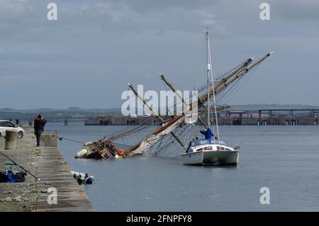 Zebù, Tall Ship corrono intorno al porto di Holyhead Foto Stock