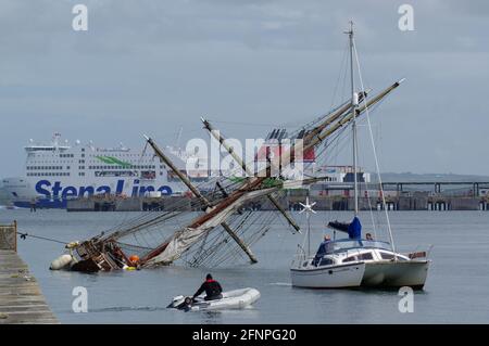Zebù, Tall Ship corrono intorno al porto di Holyhead Foto Stock