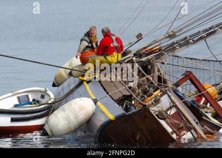 Zebù, Tall Ship corrono intorno al porto di Holyhead Foto Stock