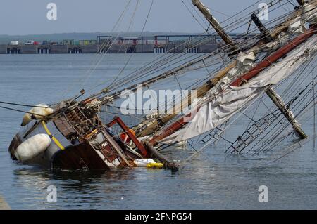 Zebù, Tall Ship corrono intorno al porto di Holyhead Foto Stock