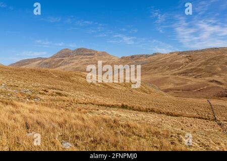 Guardando verso la cima di Arenig Fawr, una delle tante montagne che si trovano nel Parco Nazionale di Snowdonia, Galles Foto Stock