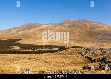 Guardando verso la cima di Arenig Fawr, una delle tante montagne che si trovano nel Parco Nazionale di Snowdonia, Galles Foto Stock