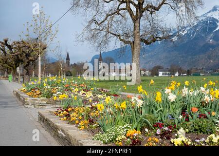 Interlaken, Svizzera - 19 aprile 2021: Bellissimo parco Höhematte Foto Stock