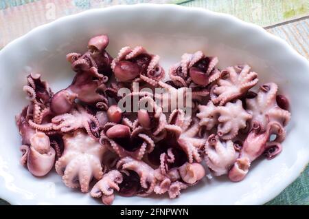 Piccoli polpi su un piatto su un legno colorato background.Seafood sano cibo foto. Foto Stock