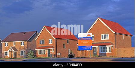 Bennett Homes, St. Edmunds Park, sviluppo di nuove abitazioni, Hunstanton, Norfolk, Inghilterra Foto Stock