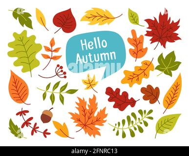 Foglie e bacche d'autunno, set colorato e trendy di cartoni animati. Collezione piatta di foglie rustiche e bolla del parlato. Fall Leave, collezione di icone di adesivi. Vettore di grafica clip autunnale su sfondo bianco Illustrazione Vettoriale