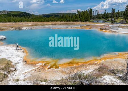 Le sorgenti Black Opal nel parco nazionale di Yellowstone, Wyoming Foto Stock