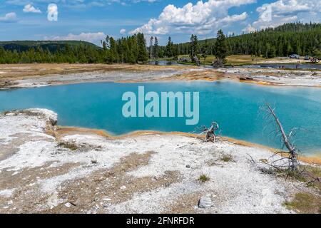 Le sorgenti Black Opal nel parco nazionale di Yellowstone, Wyoming Foto Stock