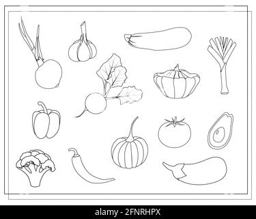 una serie di contorni, verdure da colorare. cipolla, aglio, barbabietola, avocado, zucca, melanzane di broccoli, porro, pepe, zucca, vettore di peperoncino di zucca Illustrazione Vettoriale