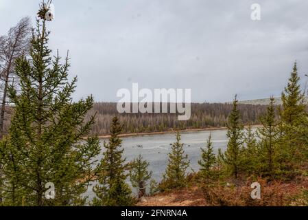 Le rive di un ampio fiume taiga. Fiume Irelyakh, Yakutia Russia Foto Stock