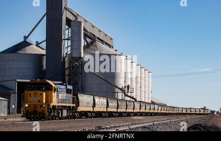 Industria rurale in Australia rurale . Un treno di trasporto che è caricato con grano nella Victoria rurale. Foto Stock