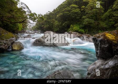 Hollyford River sulla strada per Milford Sound, Nuova Zelanda Foto Stock