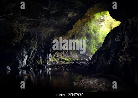 Oporara Arch, Karamea, Nuova Zelanda Foto Stock