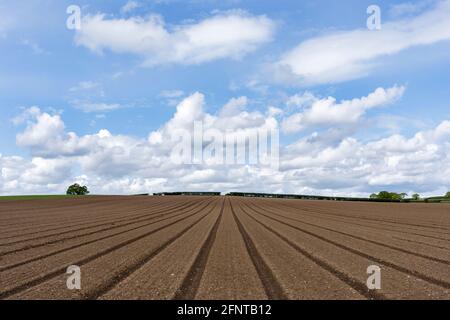 Un campo arato vicino Alcester nel Warwickshire. Foto Stock
