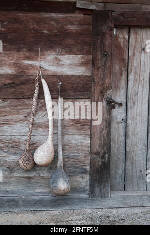Lunghe, vecchie, gourd, bottiglie appese da un muro di legno, vintage accanto alla porta con maniglia metallica Foto Stock