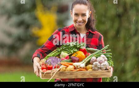 Una giovane bella donna in giardino porta una cassa piena di verdure fresche. Un contadino sorridente e felice gode della pioggia, che aiuta il raccolto. Foto Stock