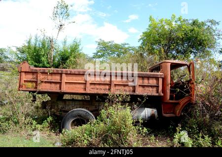 il vecchio camion di colore arancione si trova nel bosco con il cielo nuvoloso. Foto Stock