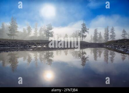 Autunno nella Mongolia settentrionale. Foresta naturale in Mongolia Foto Stock