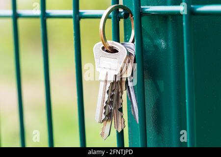 un mazzo di chiavi appende sulla recinzione. perdita di chiavi. non tornare a casa. Foto di alta qualità Foto Stock