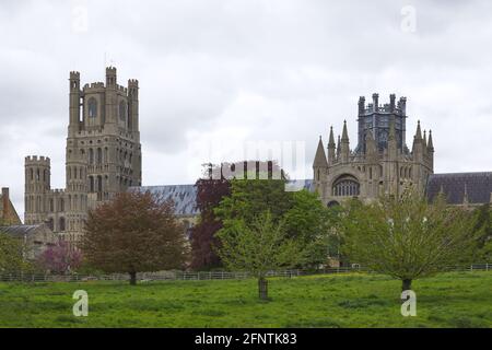 Vista dal Cherry Hill Park della Cattedrale di Ely, Cambridgeshire, Inghilterra, Regno Unito Foto Stock