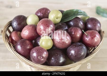 Grandi susine mature in un cesto di vimini. Foto Stock